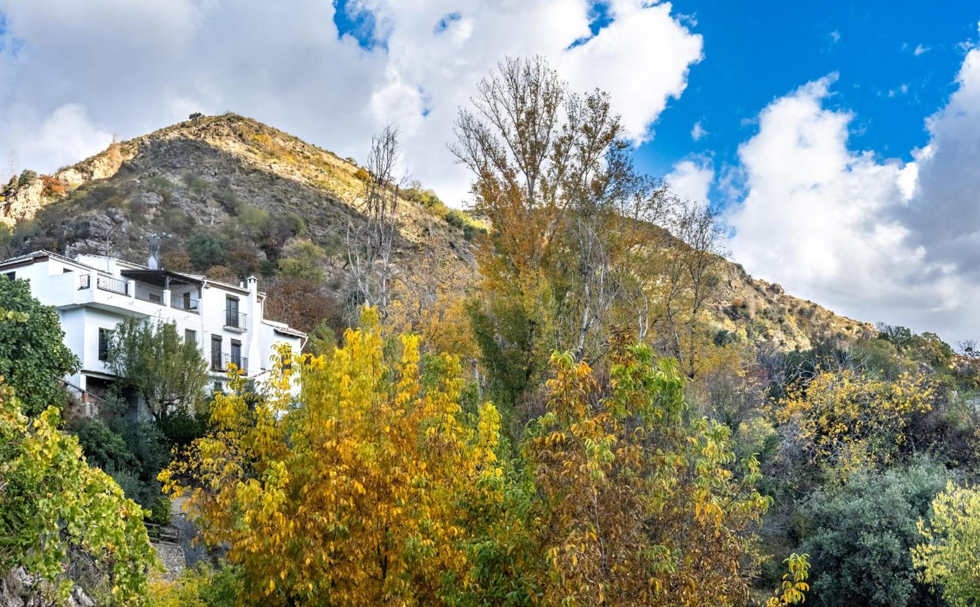 Casa Rural Arroyo de la Greda Güéjar Sierra Exterior foto